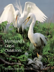 Maryland's Great Outdoors: Cover