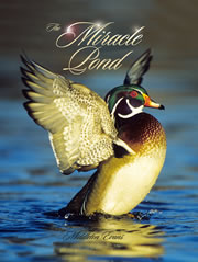 Maryland's Great Outdoors: Cover
