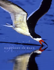 Rhapsody in Blue