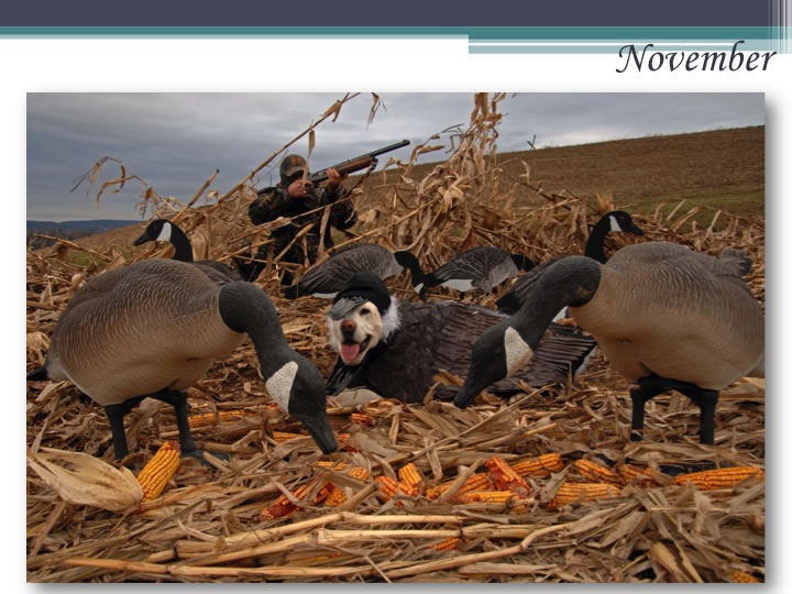 Slide14