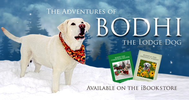 bodhi_homepage