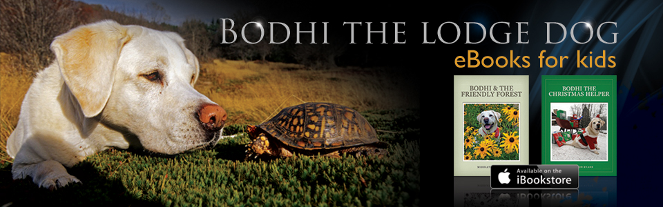 Bodhi the Lodge Dog on iTunes