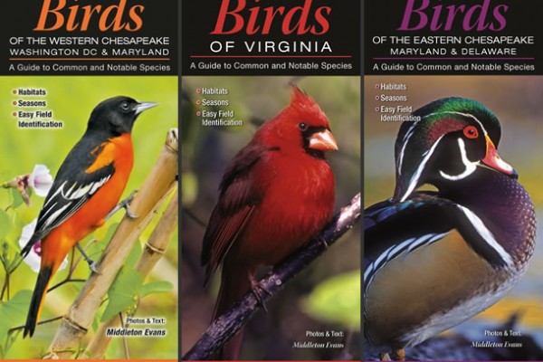 BirdGuides-cover-lg