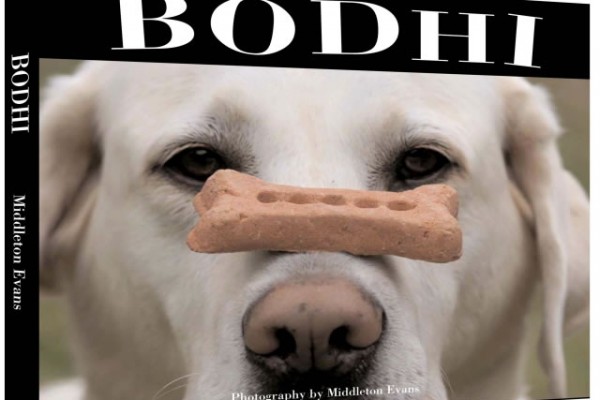 Bodhi-3Dcover-lg
