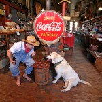 General Store