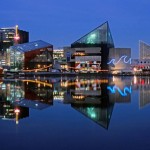 Aquarium Reflections