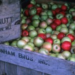 Cider Press