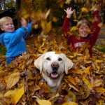 Autumn Antics