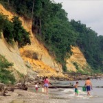 Shark Cove