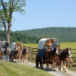 Wagon Train