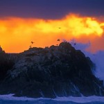 Surf’s Up
