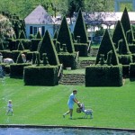 Topiary Delights