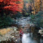 Trout Pools