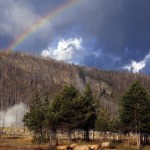 Under the Rainbow